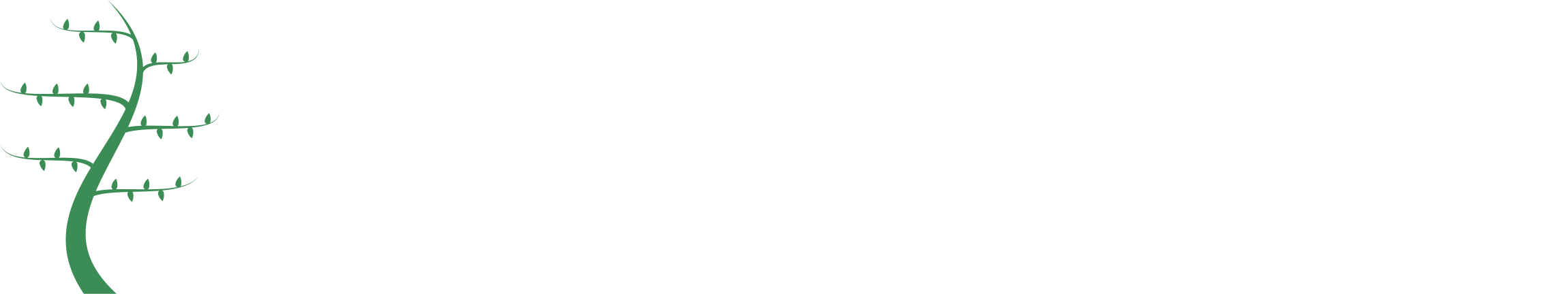 PhyloTrace Logo