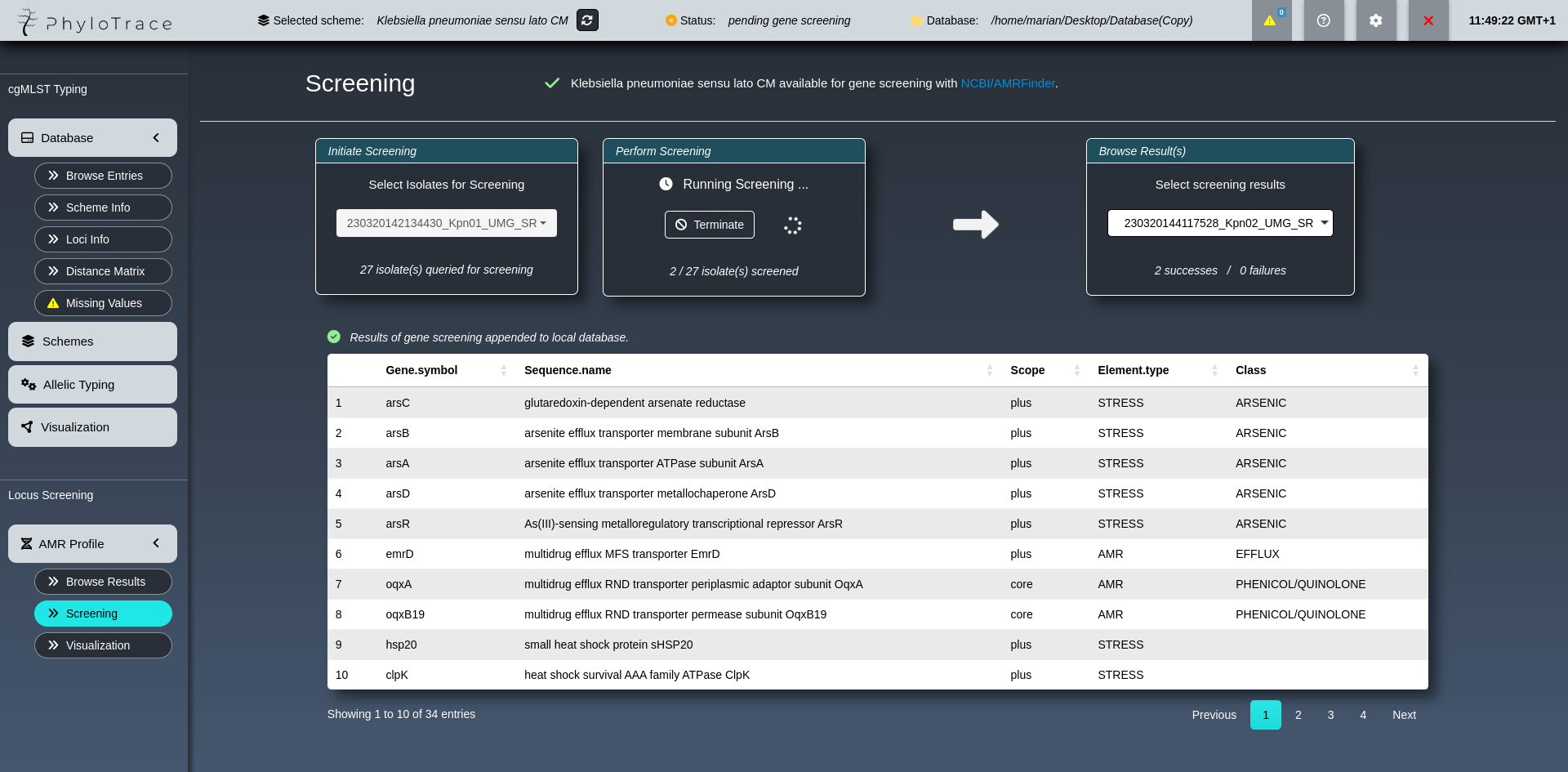 PhyloTrace Preview 7